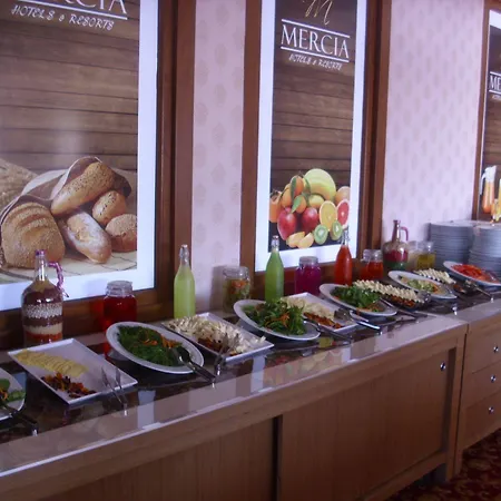 Hotel Mercia &